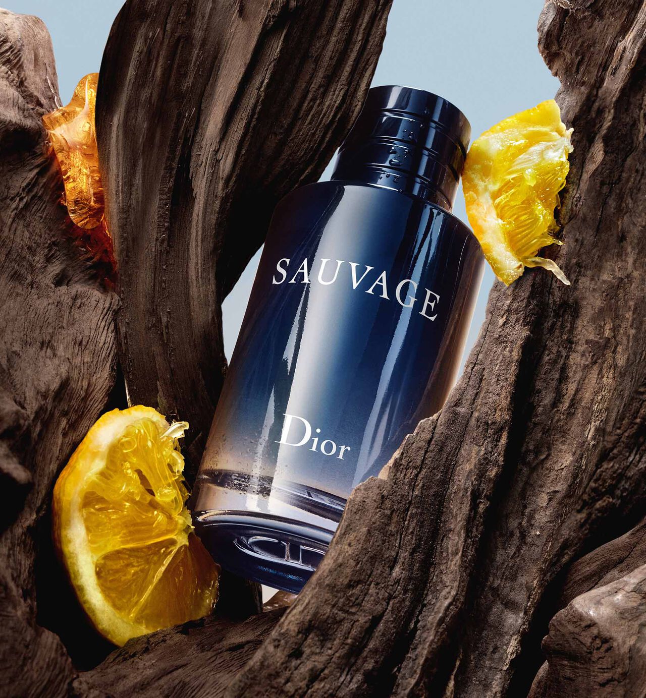 Dior Sauvage EDP 100 Ml Sauvage Perfume Long-Lasting Fragrance For Daily Wear And Special Occasions